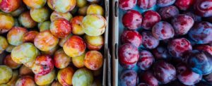 Fresho Blog - Why reducing food waste has never been so important