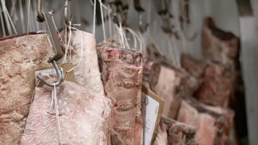 Fresho Customer Case Study - MyButcher - Camden Park - AU - Meat Storage