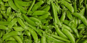 Fresho food wholesale online ordering