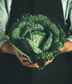 Fresho Software for fresh food wholesale suppliers and their customers - Fruit & Veg Category - Green grocer holding a fresh head of green kale