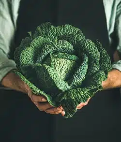 Fresho Software for fresh food wholesale suppliers and their customers - Fruit & Veg Category - Green grocer holding a fresh head of green kale