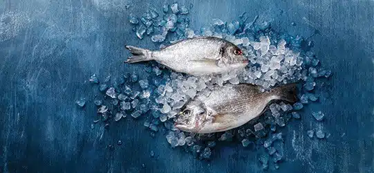 Fresho Software for fresh food wholesale suppliers and their customers - Fish Category - Two whole fresh fish lying in ice