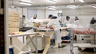 Fresho Software for fresh food wholesale suppliers and their customers - Meat Wholesalers working in a cold warehouse cutting and packaging fresh meat