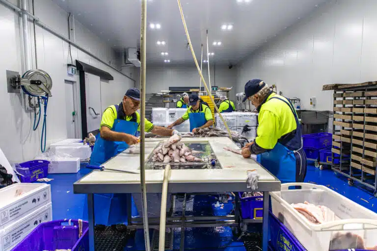 seafood wholesaler fresho