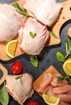 Best chicken wholesale suppliers